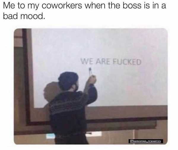 work memes - my anxiety explaining the future to me - Me to my coworkers when the boss is in a bad mood. We Are Fucked humorous_resources