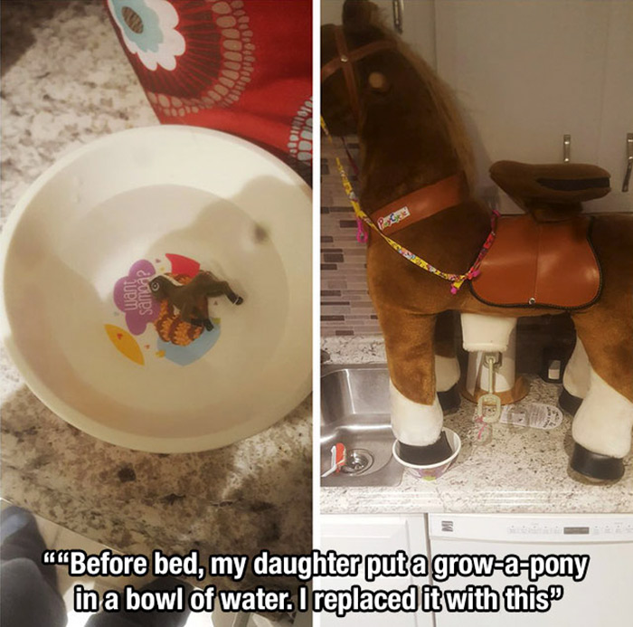 horse - Quem Rops "Before bed, my daughter put a growapony in a bowl of water. I replaced it with this