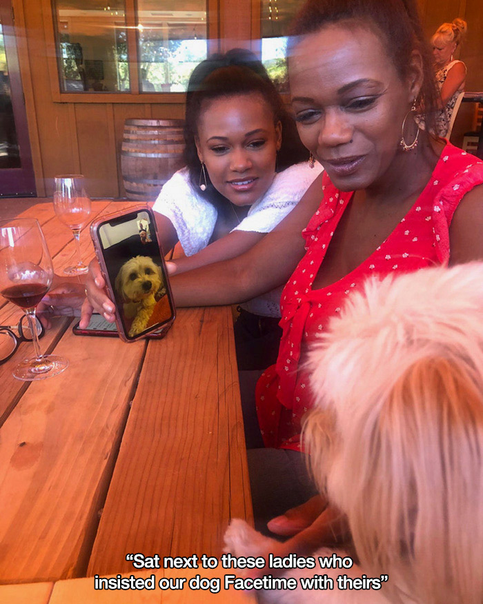 girl - T "Sat next to these ladies who insisted our dog Facetime with theirs"