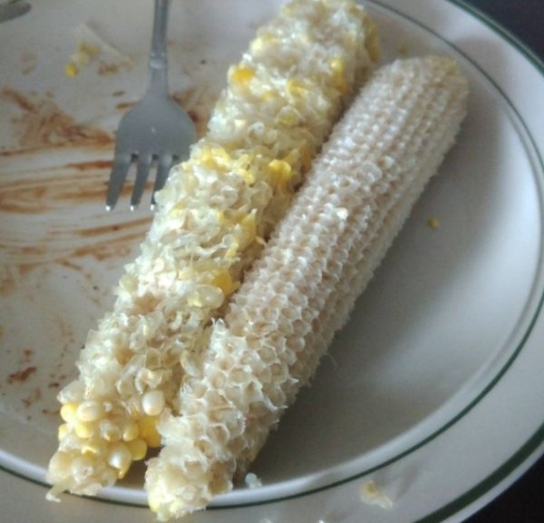 two types of people - corn on the cob