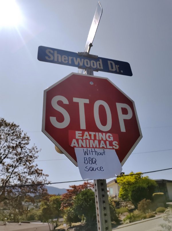 stop smoking sign - Sherwood Dr. In Stop Eating Animals Without Bbq Sauce