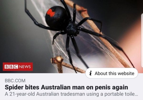 australian spiders - Bbc News i About this website Bbc.Com Spider bites Australian man on penis again A 21yearold Australian tradesman using a portable toile...