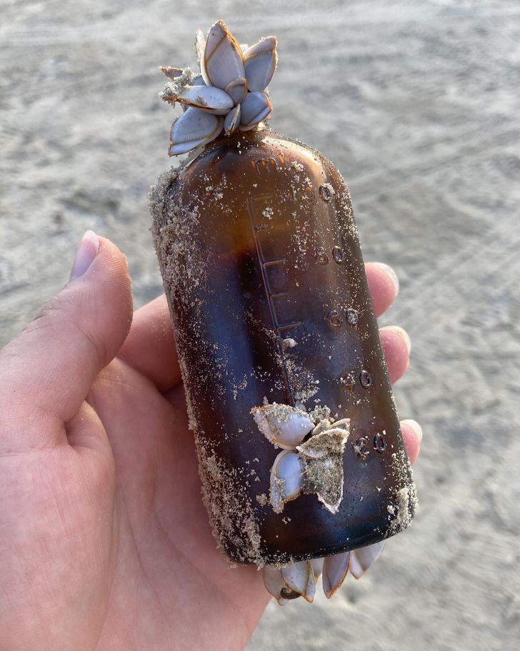 “This barnacle-covered medicine bottle I found washed up on shore.”