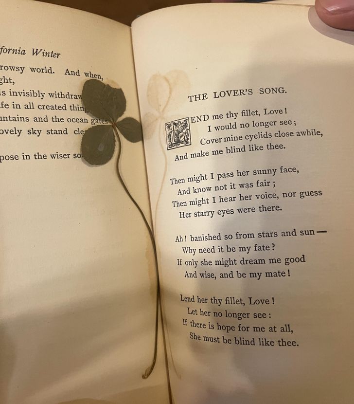 “Found a 4-leaf clover in an old book of poetry from 1889.”