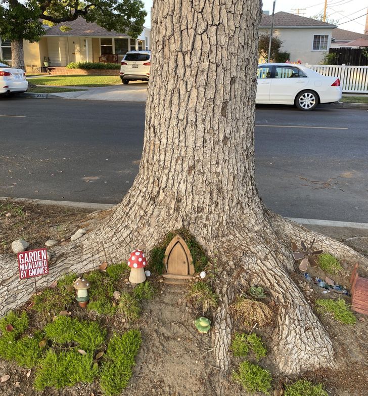 “Found a gnome shack on my way home.”