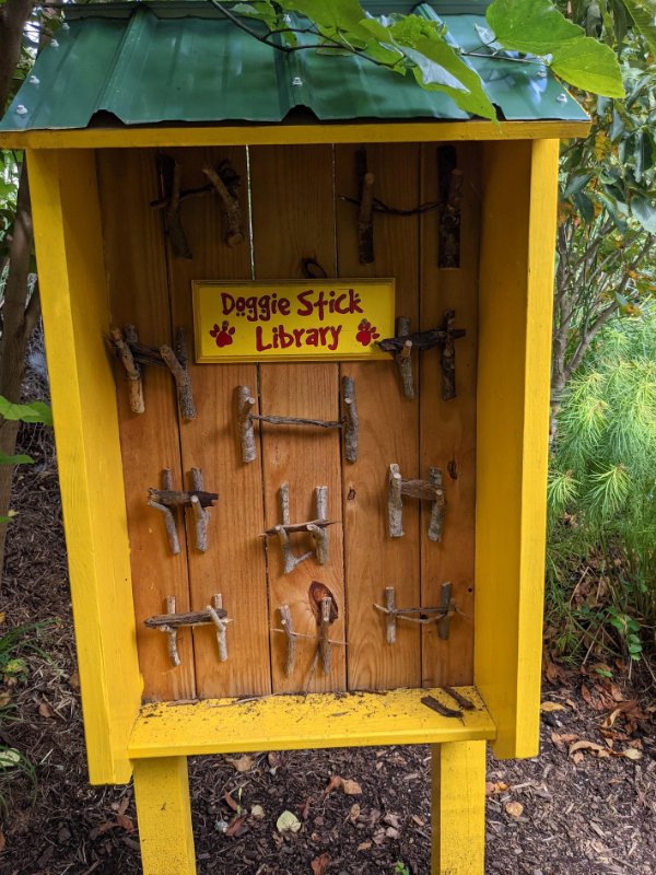 “Found a little free library for dogs.”