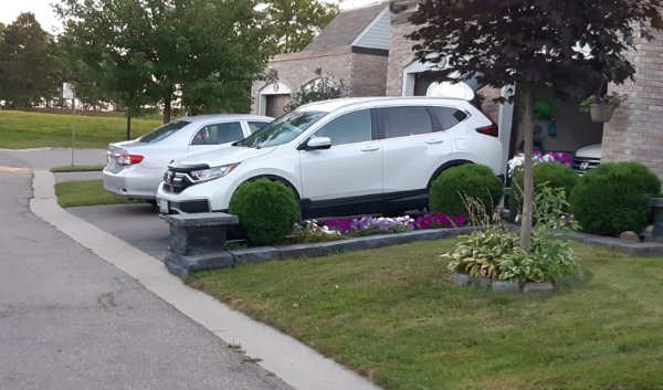 “The way these bushes line up with the wheels of this SUV.”