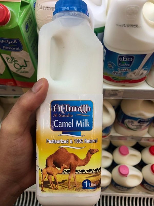 fascinating photos and pics - milk - e Almora 5 Radeo ALTurdth Camel Milk AlSaudia Pasteurized & 100% Natural 1 liter