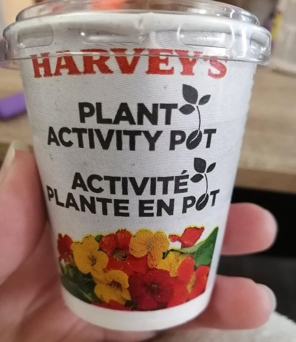 fascinating photos and pics - smoothie - Harveys Plant Activity Pot Activit Plante En Pot
