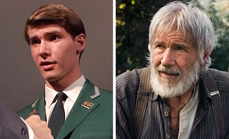 Harrison Ford: Dead Heat on a Merry-Go-Round (1966) — The Call of the Wild (2020)