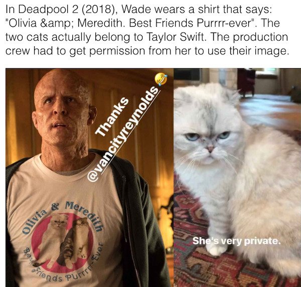 taylor swift deadpool - In Deadpool 2 2018, Wade wears a shirt that says "Olivia &amp; Meredith. Best Friends Purrrrever". The two cats actually belong to Taylor Swift. The production crew had to get permission from her to use their image. Thanks Meredith