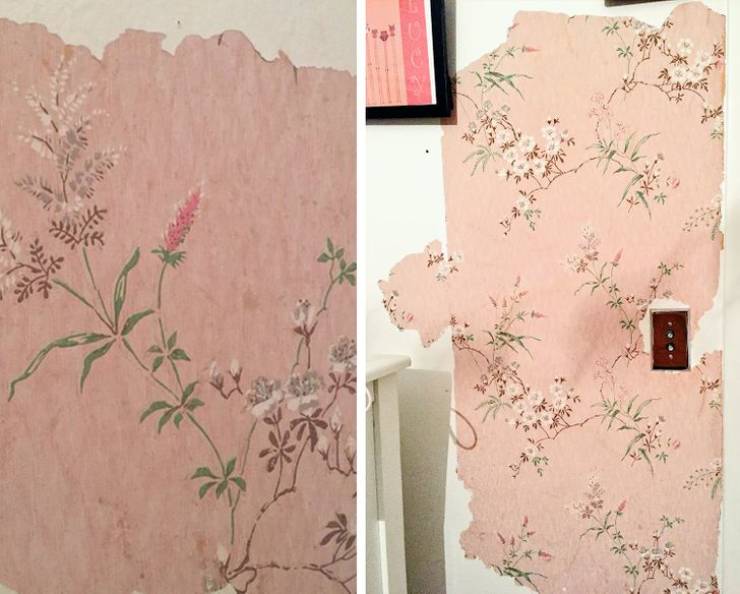 “Vintage wallpaper found under the paint in my daughter’s room!”