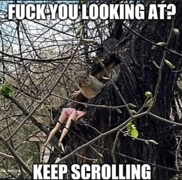 tree - Fuck You Looking At? Keep Scrolling