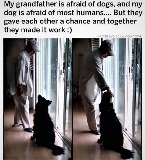 36 Wholesome Pics And Memes To Make Your Day Better.