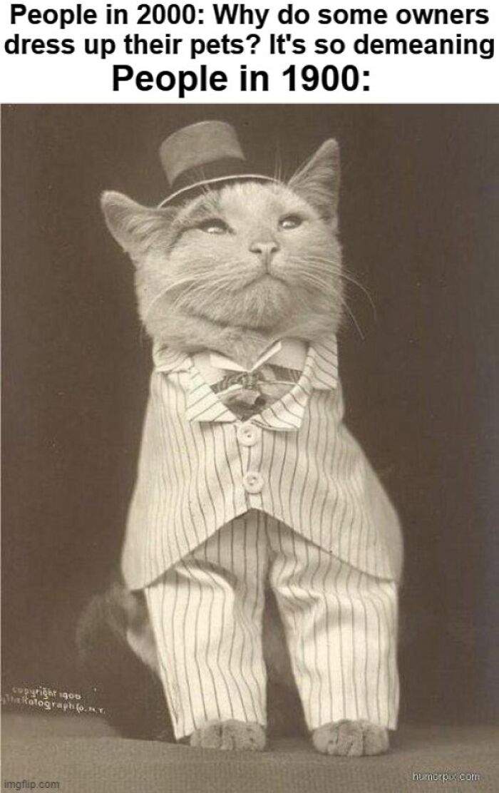 cat wearing a suit - People in 2000 Why do some owners dress up their pets? It's so demeaning People in 1900 copyright 1900 Watotograph ory huncpx.com imgflip.com