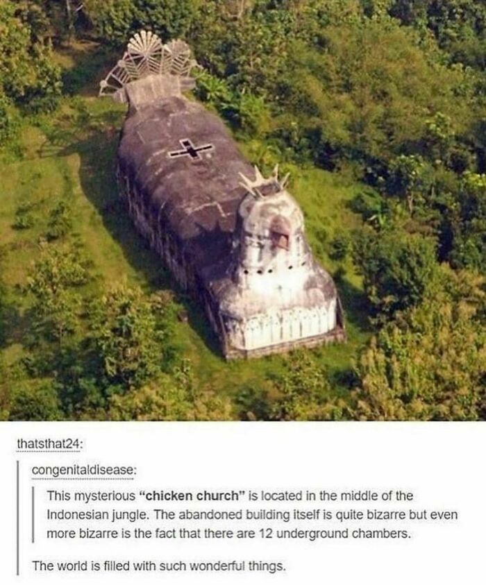 chicken church meme - f thatsthat24 congenitaldisease This mysterious "chicken church" is located in the middle of the Indonesian jungle. The abandoned building itself is quite bizarre but even more bizarre is the fact that there are 12 underground chambe