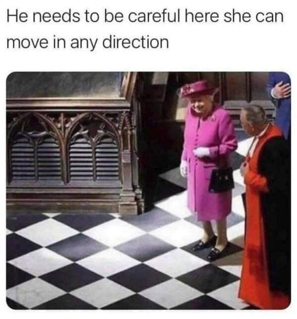punny pics - queen can move in any direction meme - He needs to be careful here she can move in any direction