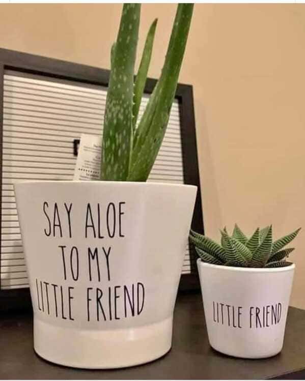 punny pics - say aloe to my little friend planter - Say Aloe To My Mitle Friend Little Friend