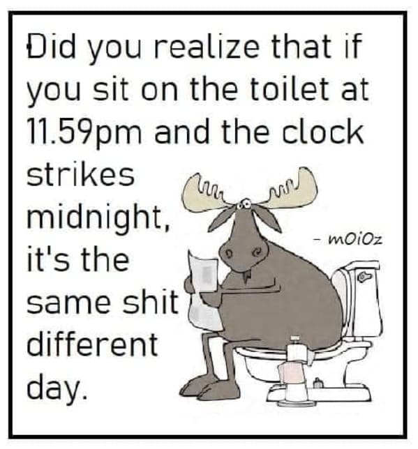punny pics - moose on toilet - M Did you realize that if you sit on the toilet at 11.59pm and the clock strikes midnight, it's the same shit different day. moioz