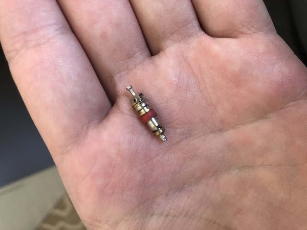 Tiny – 20mm long – 3mm wide – metal plug looking thing – Found in my car on the floormat – any ideas!

A: It’s the core of a tyre valve.