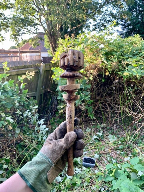 Wooden torch-like thing, bulb-shaped end with regular notches cut into it

A: It’s a traditional Mexican whisk to make hot chocolate