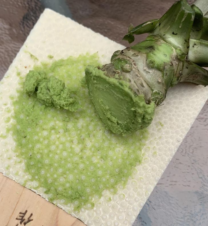 What real wasabi looks like