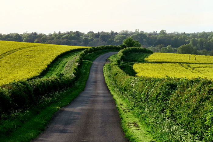 Me and my friend were walking back home after college, along the same route I always took every day. It was a 20 minute walk, some of which was a country lane. I left college with my friend at 4pm and we walked to my home. We never stopped or detoured. Somehow we arrived to mine at 7pm. Something like 2 hours and 40 minutes just disappeared like that.

We've never been able to explain what happened.