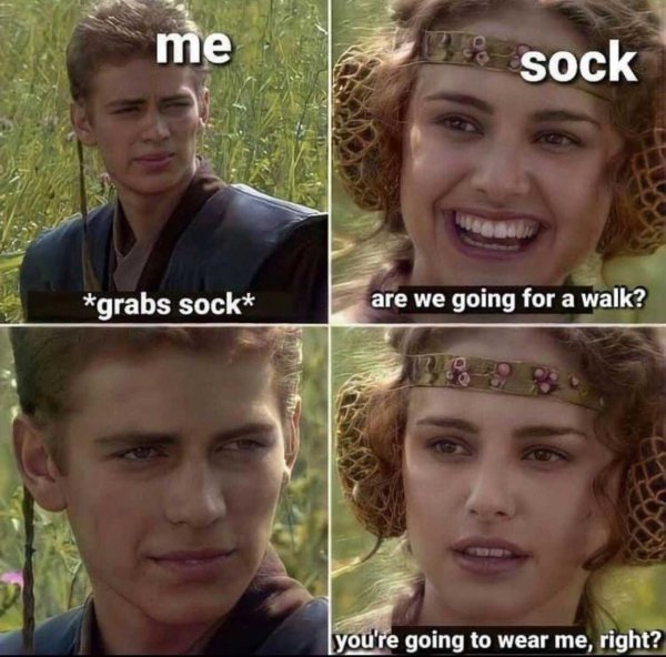 star wars meme anakin padme - me 13% sock grabs sock are we going for a walk? you're going to wear me, right?