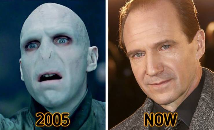 Ralph Fiennes as Lord Voldemort — Harry Potter and the Order of the Phoenix (2007)