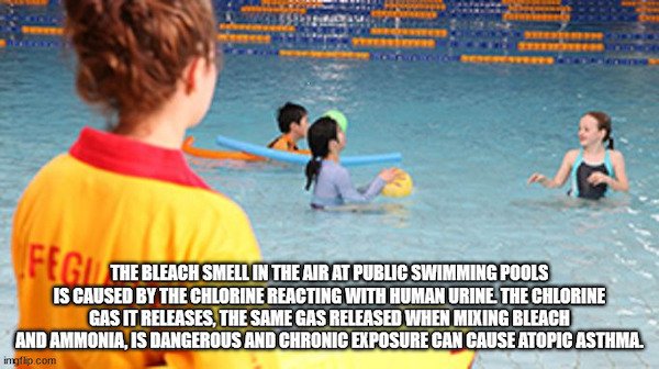 random facts - water - Ifegu The Bleach Smell In The Air At Public Swimming Pools Is Caused By The Chlorine Reacting With Human Urine The Chlorine Gas It Releases, The Same Gas Released When Mixing Bleach And Ammonia, Is Dangerous And Chronic Exposure Can