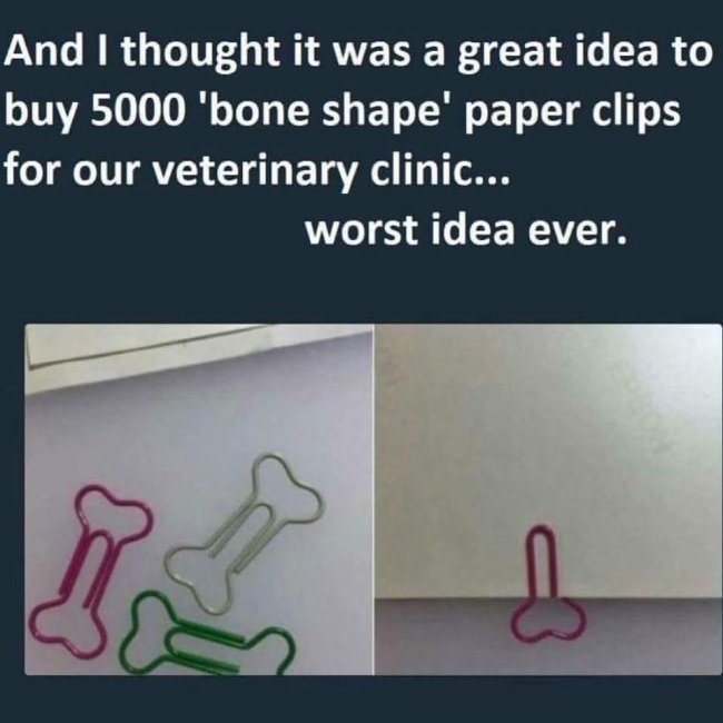 funny paperwork - And I thought it was a great idea to buy 5000 'bone shape' paper clips for our veterinary clinic... worst idea ever.