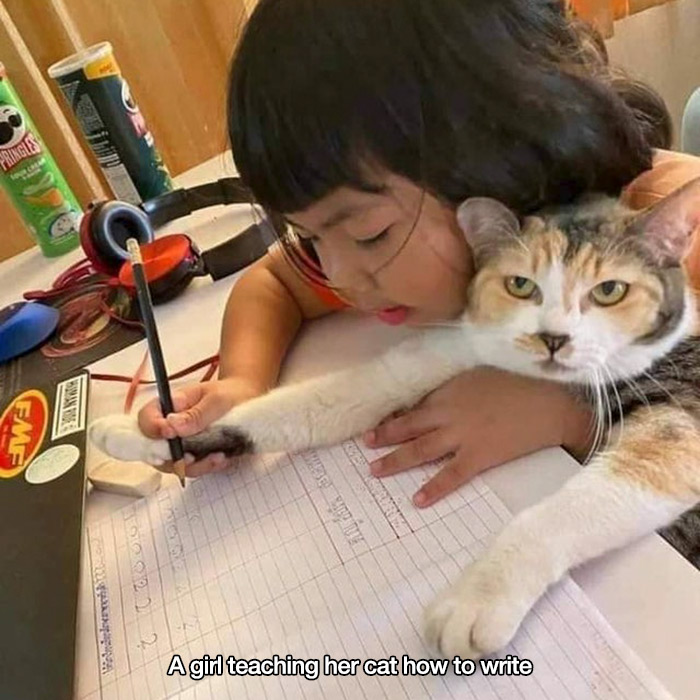 kitten - Pringles W Agir teaching her cat how to write