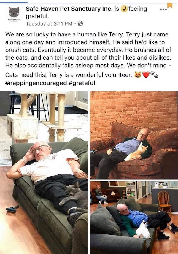 cat grandpa - Sofe Hover Safe Haven Pet Sanctuary Inc. is feeling grateful. Tuesday at We are so lucky to have a human Terry. Terry just came along one day and introduced himself. He said he'd to brush cats. Eventually it became everyday. He brushes all o