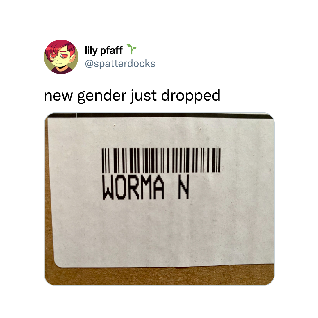 label - lily pfaff new gender just dropped Worma N