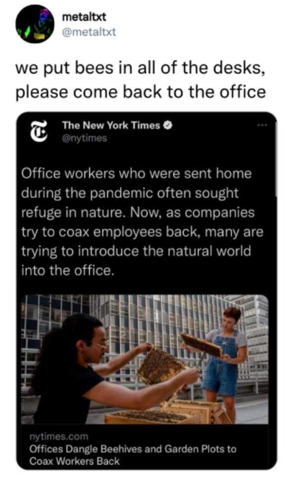 media - metaltxt we put bees in all of the desks, please come back to the office The New York Times Office workers who were sent home during the pandemic often sought refuge in nature. Now, as companies try to coax employees back, many are trying to intro