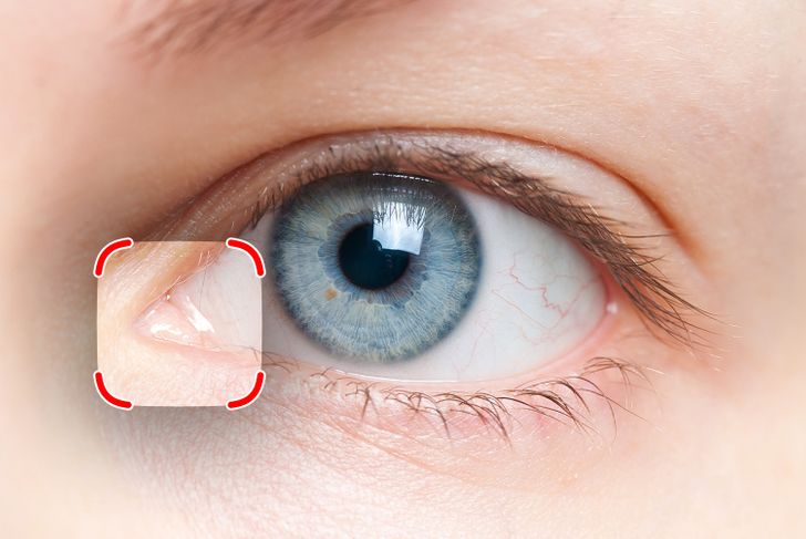 Even though we all have it, we might not know much about the mysterious membrane in the corner of our eye. In fact, this tissue is the remnant of a third eyelid and is much more prominent in birds and some mammals to protect their eyes from dust. However, for us humans this membrane doesn’t actually serve a purpose and therefore it is believed that it will completely disappear over time.