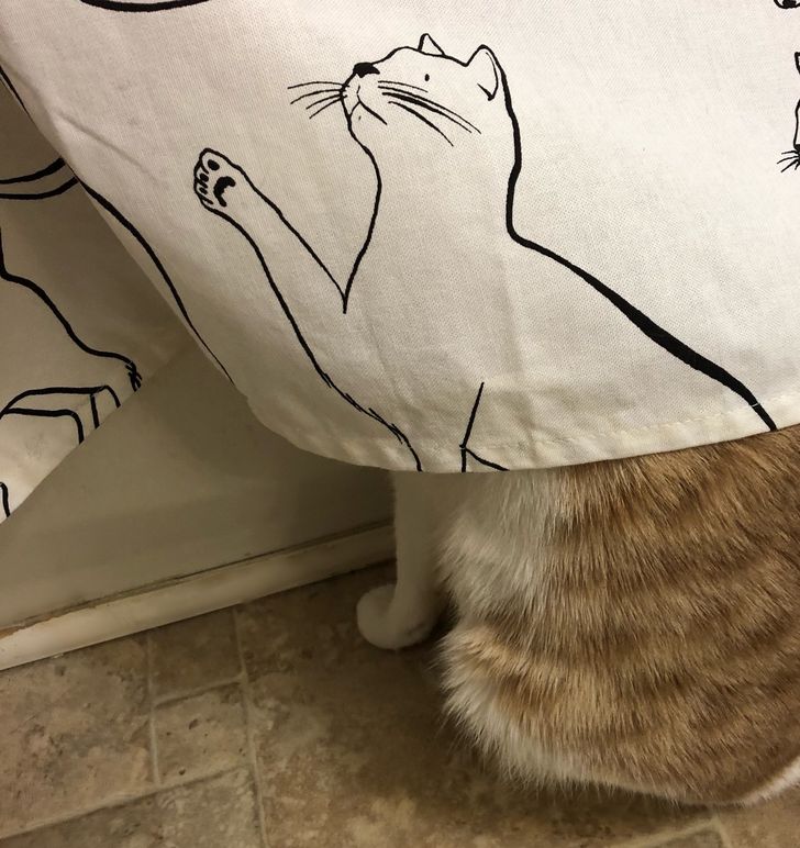 “He loves to hide behind the shower curtain, and this time, it lined up perfectly!”