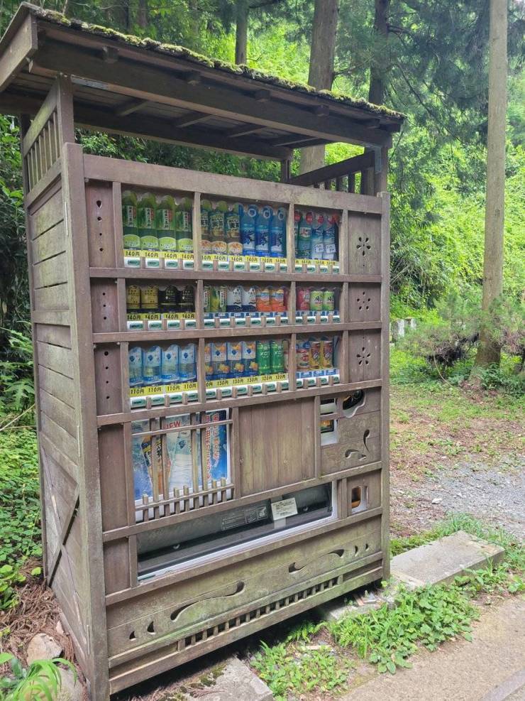 japanese forest vending machine -