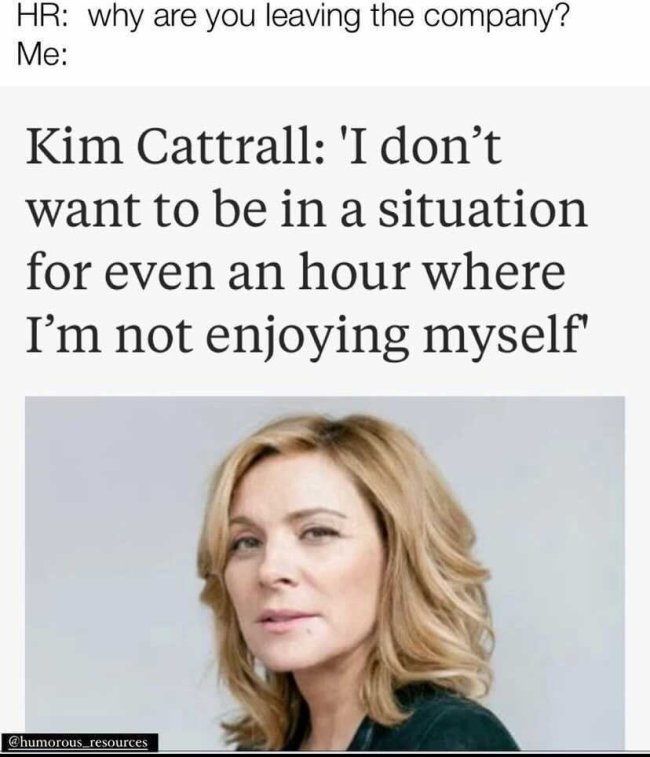 kim cattrall i don t want - Hr why are you leaving the company? Me Kim Cattrall 'I don't want to be in a situation for even an hour where I'm not enjoying myself