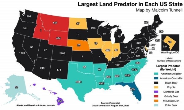 24 Charts Filled With Random Knowledge.