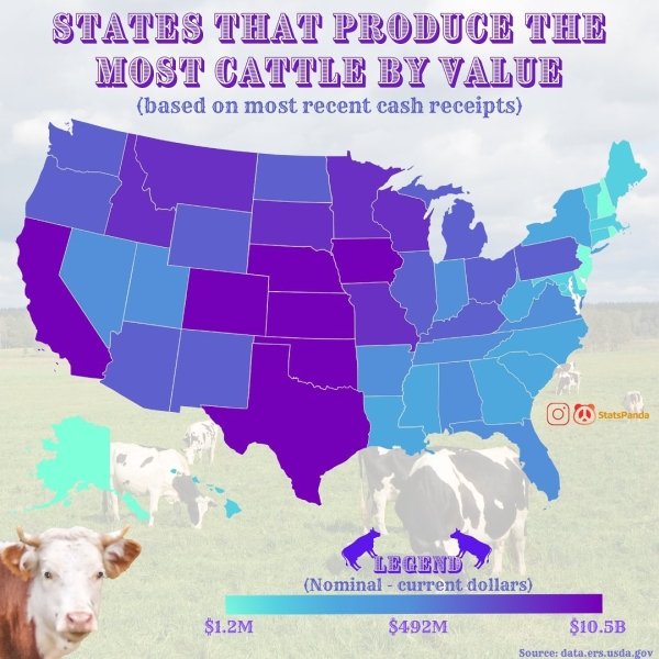 24 Charts Filled With Random Knowledge.