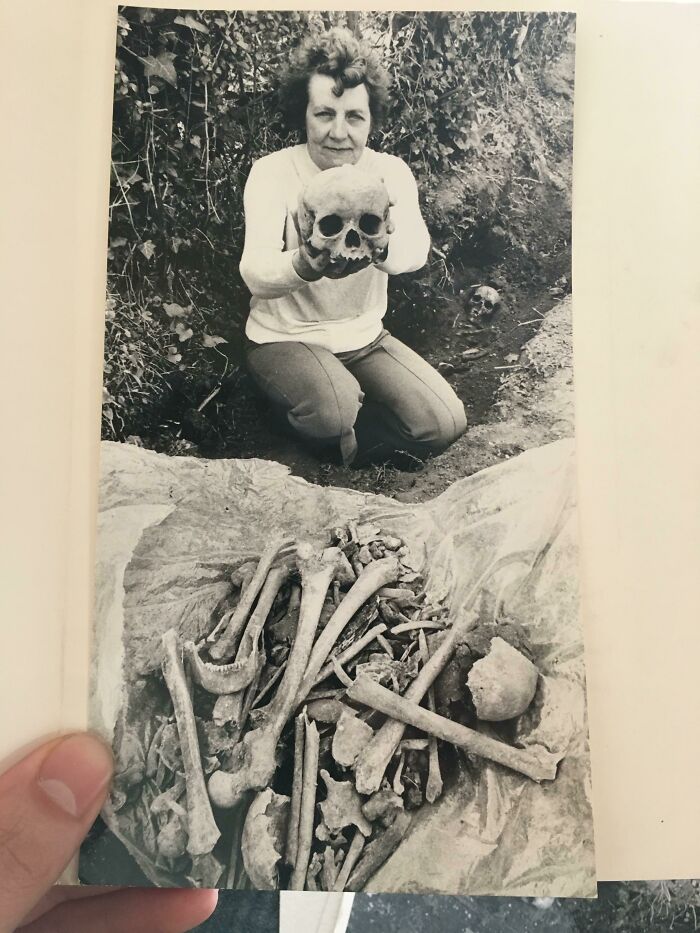 A pile of bones my aunt found in her backyard. 