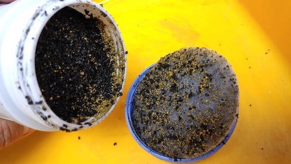 Is this gold inside my activated carbon undercounter water filter?!

A: Looks like it’s probably copper-zinc, used in filters to filter heavy metals.