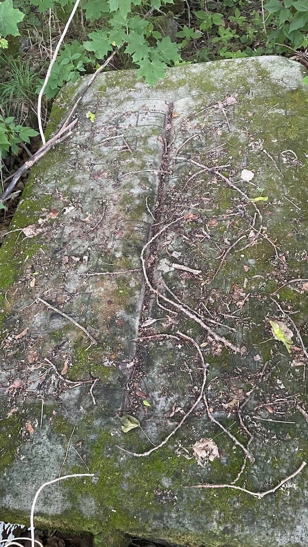 Some kind of a big stone with various geometric carvings. It was found in the middle of a forest next to a ruined brick gate. Any ideas?

A: If you pull the image up full size it’s easy to see it’s a perfect rounded rectangle and divided right down the middle. It’s “poofy” like a stuffed cushion. Then once you zoom in it’s easy to see the fabric pattern.