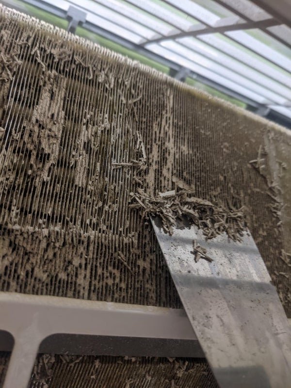 What is this stuff building up on my AC radiator fins. I can’t find what it is, but it doesn’t seem to be the metal itself corroding, and it is kinda like compressed cornstarch.

A: Dust and dander. Your filter is not enough.