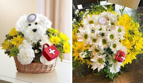expectation vs reality - doggie howser md flowers