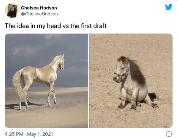 expectation vs reality - arabian horse memes - Chelsea Hodson The idea in my head vs the first draft