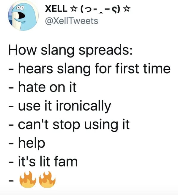 funny memes - relatable memes - slang spreads meme - 00 Xell ?. How slang spreads hears slang for first time hate on it use it ironically can't stop using it help it's lit fam