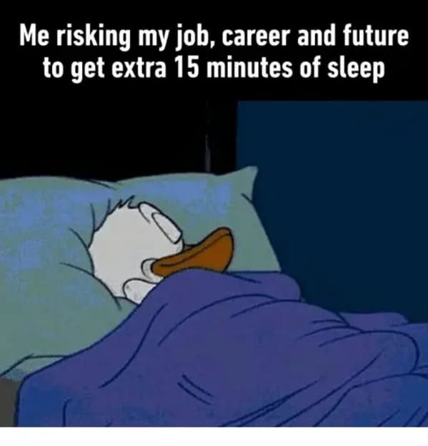 funny memes - relatable memes - cartoon - Me risking my job, career and future to get extra 15 minutes of sleep