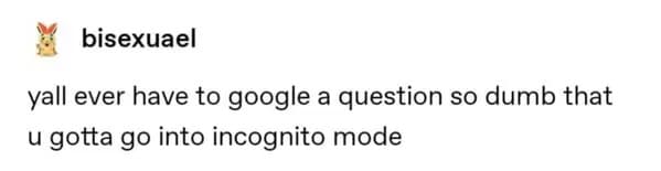 funny memes - relatable memes - incognito tumblr posts - bisexuael yall ever have to google a question so dumb that u gotta go into incognito mode